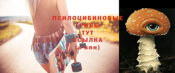 ALPHA-PVP Богородицк