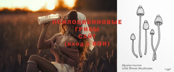 бутират Арсеньев