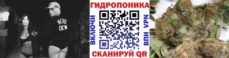 Шишки марихуана планчик Партизанск